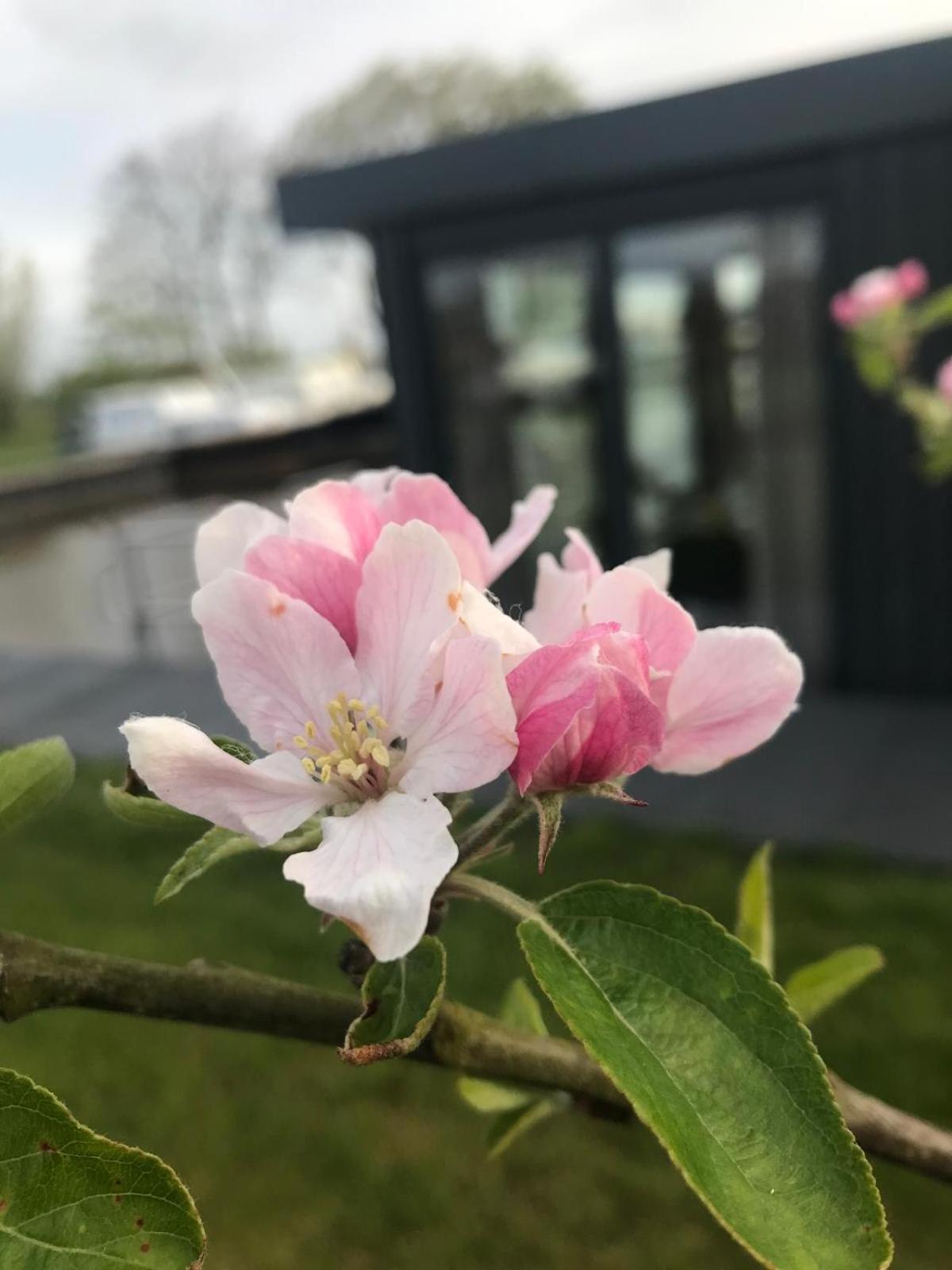 Uniek Overnachten In Een Tiny House Op De Appelhof Wommels Buitenkant foto