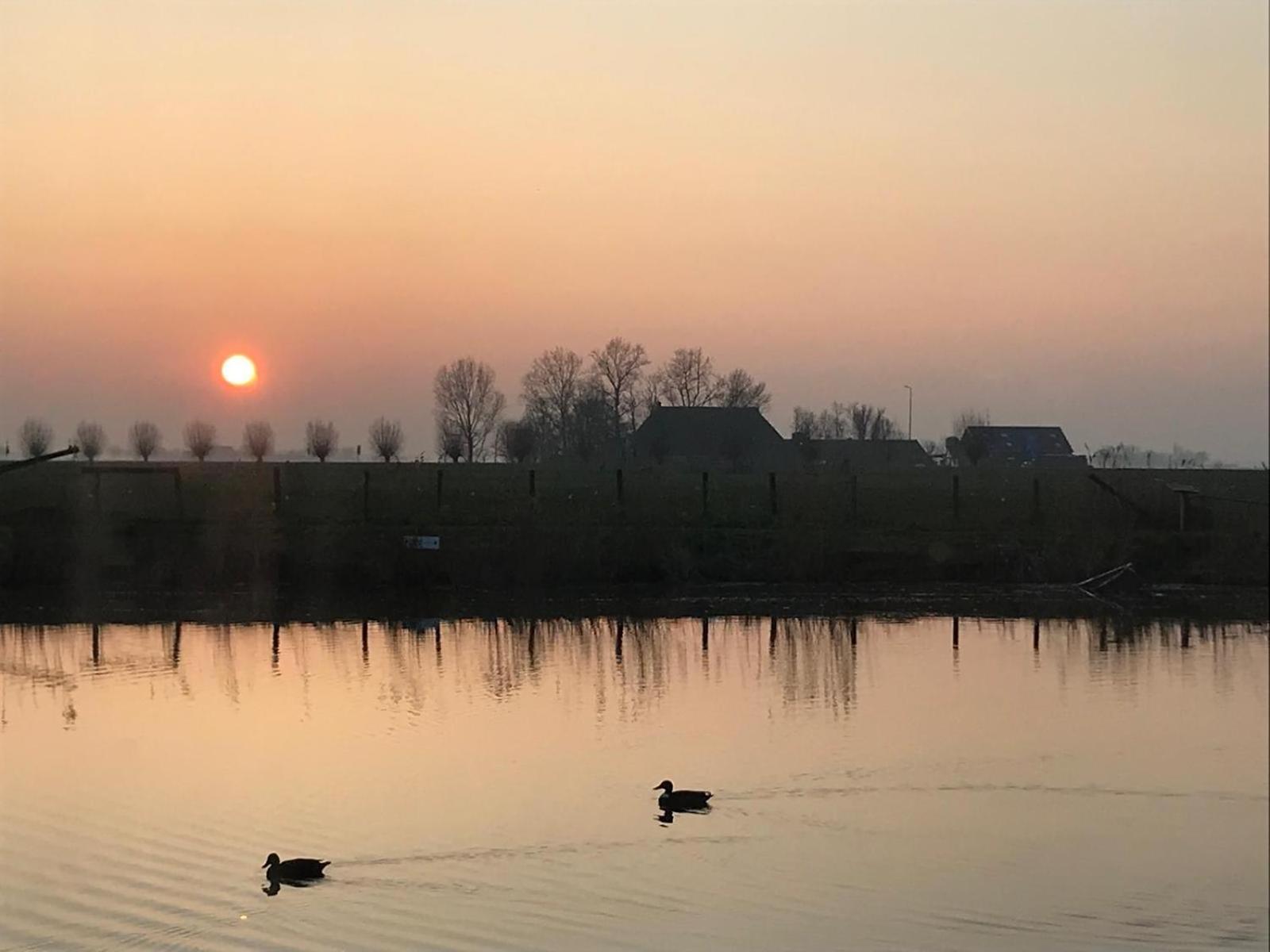 Uniek Overnachten In Een Tiny House Op De Appelhof Wommels Buitenkant foto